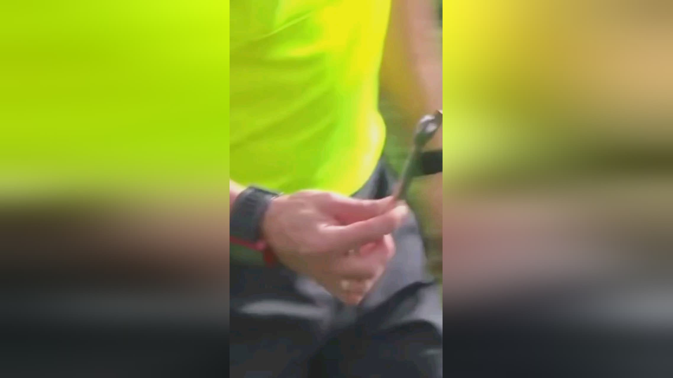 国垒球的国